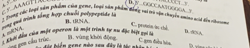 ACCCCT ...3'.
5°...GGCCAATGGGGA.. 3°
2. Trong các loại sản phẩm của gene, loại sản phẩm đóng vai trò vận chuyến amino acid đến ribosome
B. tRNA.
trong quá trình tổng hợp chuỗi polypeptide là 3. Khởi đầu của một operon là một trình tự nu đặc biệt gọi là A. mRNA.
C. protein ức chế D. tRNA.
ủng gen cấu trúc. B. vùng khởi động. C.gen điều hòa.
đ ộ t biến gene nào sau đây là tác nhân