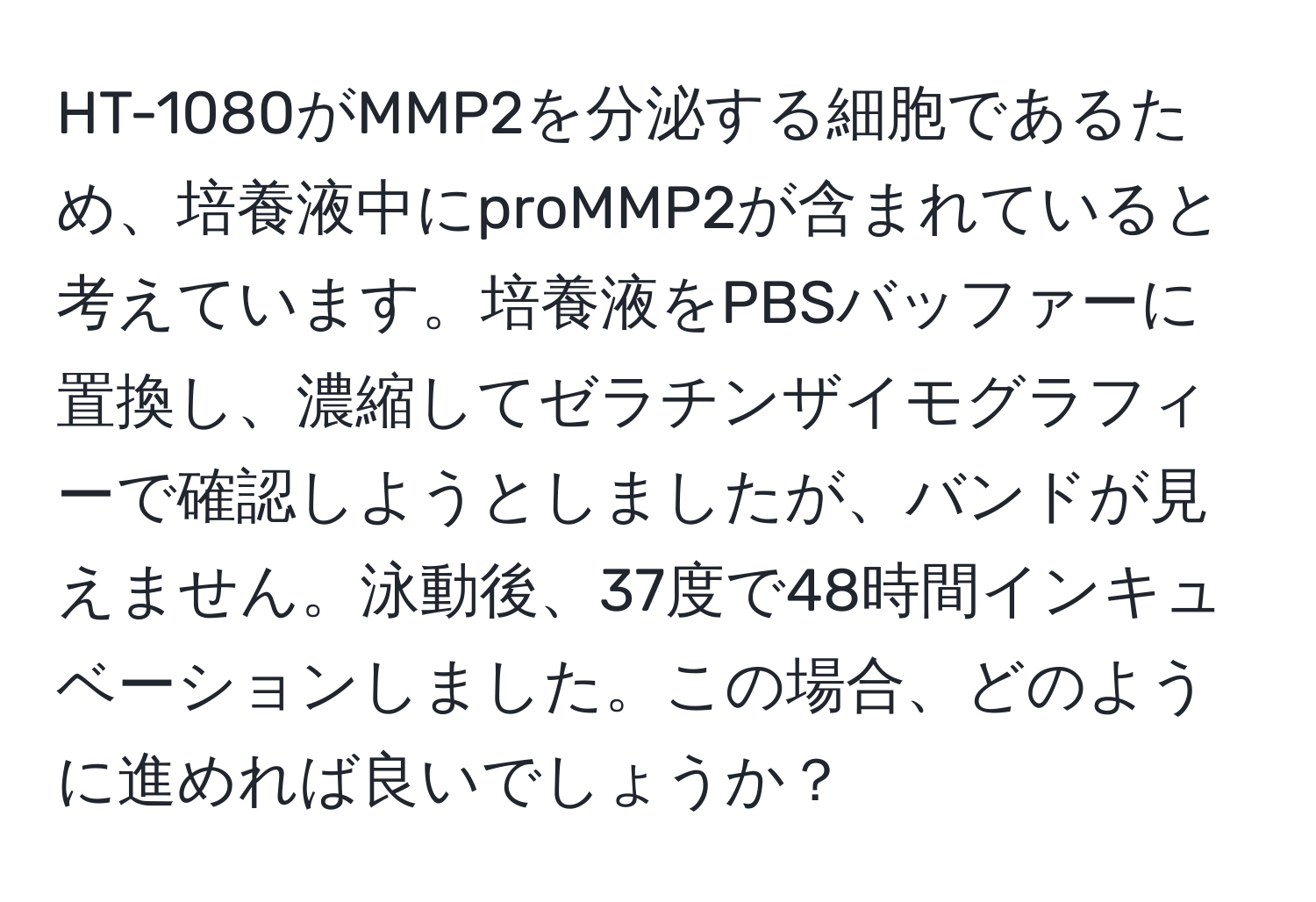 HT-1080がMMP2を分泌する細胞であるため、培養液中にproMMP2が含まれていると考えています。培養液をPBSバッファーに置換し、濃縮してゼラチンザイモグラフィーで確認しようとしましたが、バンドが見えません。泳動後、37度で48時間インキュベーションしました。この場合、どのように進めれば良いでしょうか？