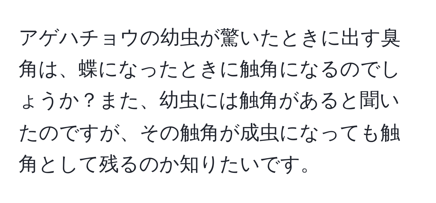 アゲハチョウの幼虫が驚いたときに出す臭角は、蝶になったときに触角になるのでしょうか？また、幼虫には触角があると聞いたのですが、その触角が成虫になっても触角として残るのか知りたいです。