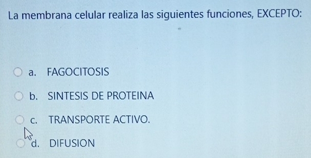 La membrana celular realiza las siguientes funciones, EXCEPTO:
a. FAGOCITOSIS
b. SINTESIS DE PROTEINA
c. TRANSPORTE ACTIVO.
d. DIFUSION