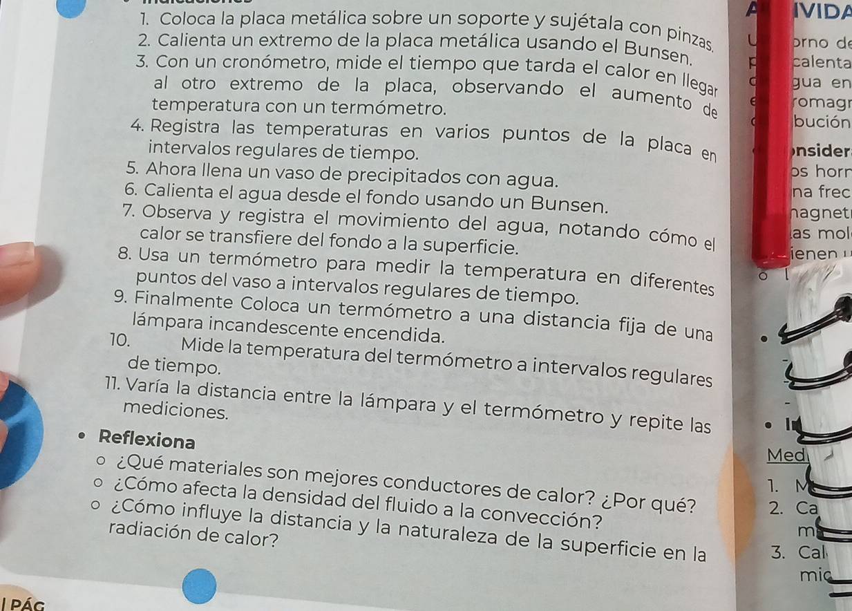 A IVIDA 
1. Coloca la placa metálica sobre un soporte y sujétala con pinzas. U 
2. Calienta un extremo de la placa metálica usando el Bunsen. a rno d 
calenta 
3. Con un cronómetro, mide el tiempo que tarda el calor en Ilegar 
gua en 
al otro extremo de la placa, observando el aumento de 
temperatura con un termómetro. 
romagr 
bución 
4. Registra las temperaturas en varios puntos de la placa en 
intervalos regulares de tiempo. nsider 
ps horn 
5. Ahora Ilena un vaso de precipitados con agua. 
na frec 
6. Calienta el agua desde el fondo usando un Bunsen. 
nagnet 
7. Observa y registra el movimiento del agua, notando cómo el 
as mol 
calor se transfiere del fondo a la superficie. ienen 
8. Usa un termómetro para medir la temperatura en diferentes 
。 
puntos del vaso a intervalos regulares de tiempo. 
9. Finalmente Coloca un termómetro a una distancia fija de una 
lámpara incandescente encendida. 
10. Mide la temperatura del termómetro a intervalos regulares 
de tiempo. 
11. Varía la distancia entre la lámpara y el termómetro y repite las 
mediciones. 
Reflexiona 
Med 
¿Qué materiales son mejores conductores de calor? ¿Por qué? 
1.M 
¿Cómo afecta la densidad del fluido a la convección? 
2. Ca 
¿Cómo influye la distancia y la naturaleza de la superficie en la 3. Cal 
radiación de calor? 
m 
mic 
| pág