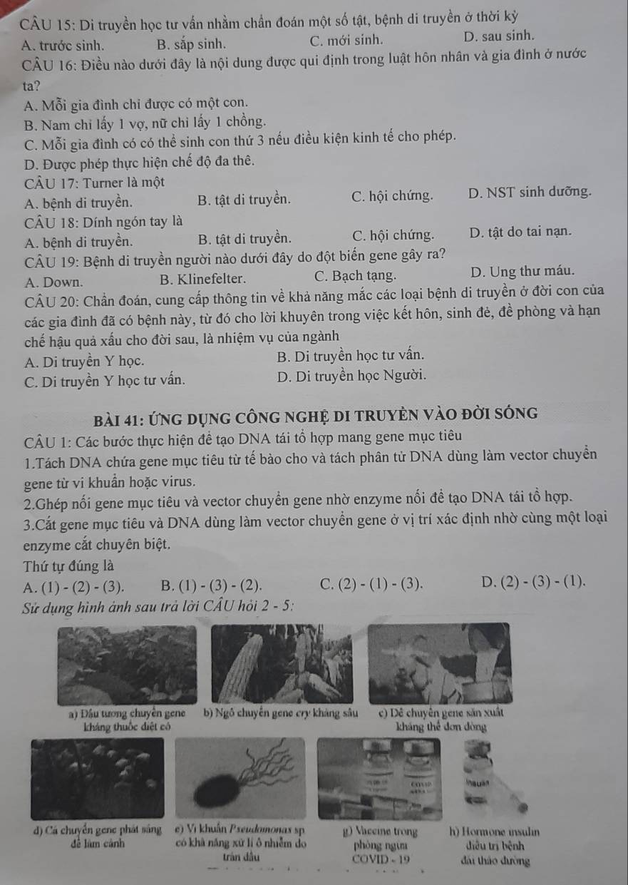 Di truyền học tư vấn nhằm chần đoán một số tật, bệnh di truyền ở thời kỳ
A. trước sinh. B. sắp sinh. C. mới sinh. D. sau sinh.
CÂU 16: Điều nào dưới đây là nội dung được qui định trong luật hôn nhân và gia đình ở nước
ta?
A. Mỗi gia đình chi được có một con.
B. Nam chi lấy 1 vợ, nữ chi lấy 1 chồng.
C. Mỗi gia đình có có thể sinh con thứ 3 nếu điều kiện kinh tế cho phép.
D. Được phép thực hiện chế độ đa thê.
CÂU 17: Turner là một
A. bệnh di truyền. B. tật di truyền. C. hội chứng. D. NST sinh dưỡng.
CÂU 18: Dính ngón tay là
A. bệnh di truyền. B. tật di truyền. C. hội chứng. D. tật do tai nạn.
CÂU 19: Bệnh di truyền người nào dưới đây do đột biến gene gây ra?
A. Down. B. Klinefelter. C. Bạch tạng. D. Ung thư máu.
CÂU 20: Chẩn đoán, cung cấp thông tin về khả năng mắc các loại bệnh di truyền ở đời con của
các gia đình đã có bệnh này, từ đó cho lời khuyên trong việc kết hôn, sinh đẻ, đề phòng và hạn
chế hậu quả xấu cho đời sau, là nhiệm vụ của ngành
A. Di truyền Y học. B. Di truyền học tư vấn.
C. Di truyền Y học tư vấn. D. Di truyền học Người.
bài 41: ứNG dụnG CônG ngHệ DI tRUYÊN vàO đời sống
CÂU 1: Các bước thực hiện đề tạo DNA tái tổ hợp mang gene mục tiêu
1.Tách DNA chứa gene mục tiêu từ tế bào cho và tách phân tử DNA dùng làm vector chuyển
gene từ vi khuẩn hoặc virus.
2.Ghép nối gene mục tiêu và vector chuyển gene nhờ enzyme nối đề tạo DNA tái tổ hợp.
3.Cất gene mục tiêu và DNA dùng làm vector chuyển gene ở vị trí xác định nhờ cùng một loại
enzyme cắt chuyên biệt.
Thứ tự đúng là
A. (1) - (2) - (3). B. (1) - (3) - (2). C. (2) - (1) - (3). D. . (2) - (3) - (1).
Sử dụng hình ảnh sau trả lời CÂU hỏi 2 - 5: