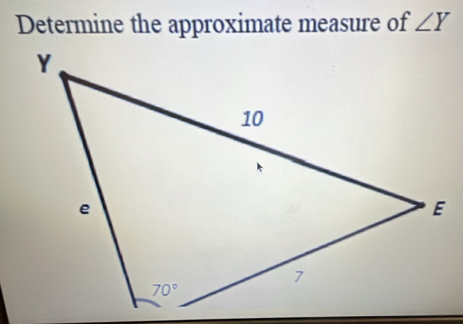 Determine the approximate measure of ∠ Y