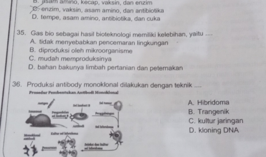 B. asam amino, kecap, vaksin, dan enzim
C. enzim, vaksin, asam amino, dan antibiotika
D. tempe, asam amino, antibiotika, dan cuka
35. Gas bio sebagai hasil bioteknologi memiliki kelebihan, yaitu ....
A. tidak menyebabkan pencemaran lingkungan
B. diproduksi oleh mikroorganisme
C. mudah memproduksinya
D. bahan bakunya limbah pertanian dan peternakan
36. Produksi antibody monoklonal dilakukan dengan teknik ....
Prosedur Pembentukan Antíbodi Monokional
A. Hibridoma
B. Trangenik
C. kultur jaringan
D. kloning DNA