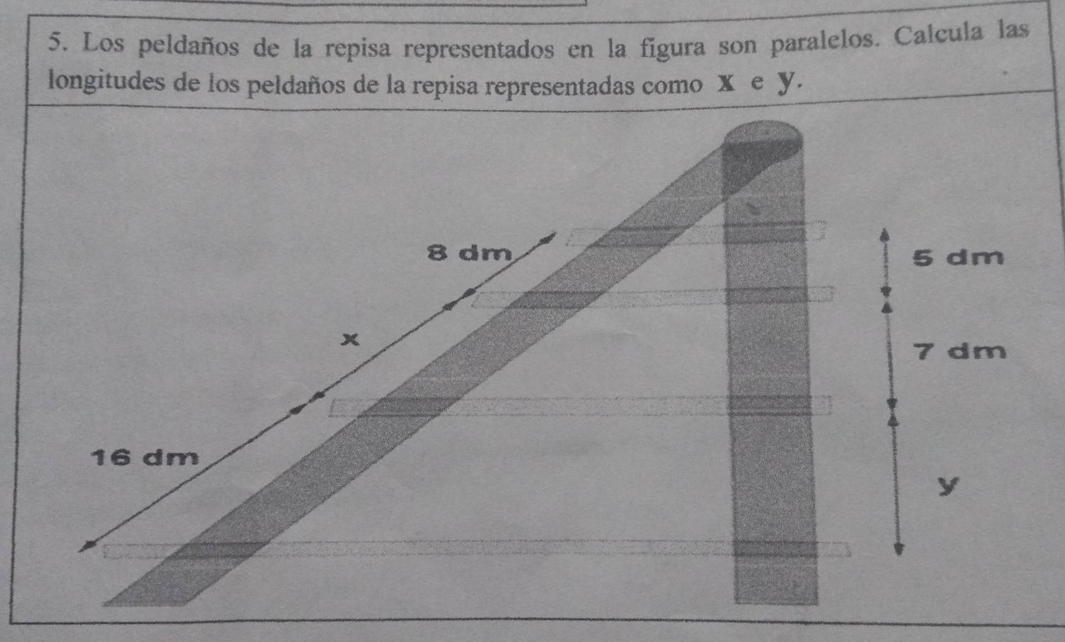 Los peldaños de la repisa representados en la figura son paralelos. Calcula las 
longitudes de los peldaños de la repisa representadas como x e y.
8 dm 5 dm
x
7 dm
16 dm
y