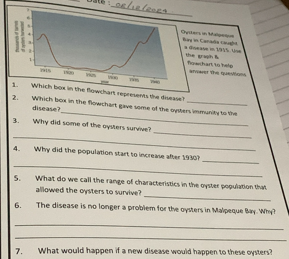 Date : 
n Malpeque 
anada caught 
e in 1915. Use 
aph & 
art to help 
r the questions 
hart represents the disease? 
_ 
2. Which box in the flowchart gave some of the oysters immunity to the 
disease? 
_ 
3. Why did some of the oysters survive? 
_ 
_ 
4. Why did the population start to increase after 1930? 
_ 
5. What do we call the range of characteristics in the oyster population that 
_ 
allowed the oysters to survive? 
6. The disease is no longer a problem for the oysters in Malpeque Bay. Why? 
_ 
_ 
7. What would happen if a new disease would happen to these oysters?