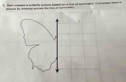 Sam created a butterfly picture based on a line of symmetry. Complete Sam's 
picture by drawing across the line of symmetry. 
a