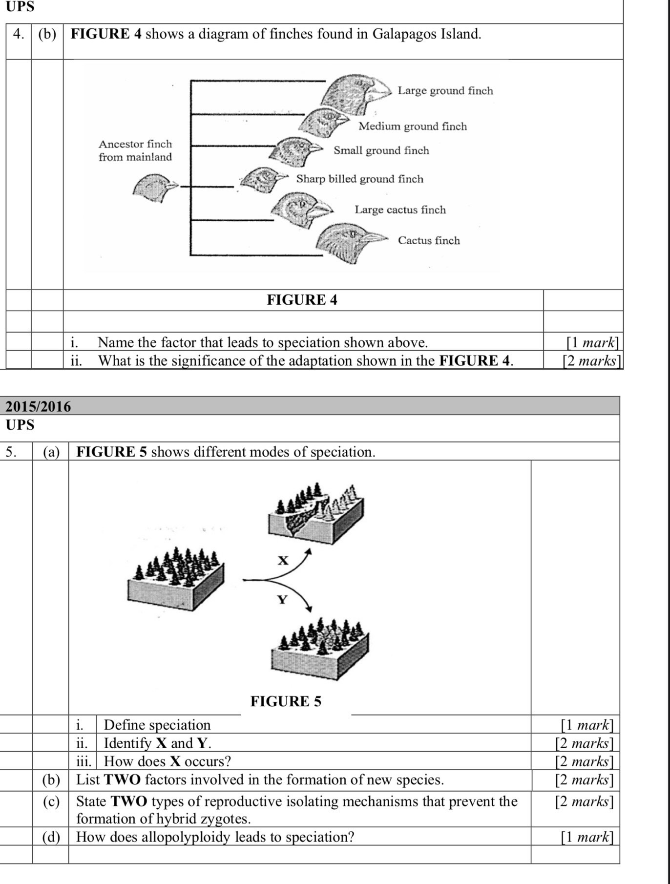 UPS 
4. | (b) | FIGURE 4 shows a diagram of finches found in Galapagos Island. 
Large ground finch 
Medium ground finch 
Ancestor finch 
from mainland 
Small ground finch 
Sharp billed ground finch 
Large cactus finch 
Cactus finch 
FIGURE 4 
i. Name the factor that leads to speciation shown above. [1 mark] 
ii. What is the significance of the adaptation shown in the FIGURE 4. [2 marks] 
2015/2016 
UPS 
5. (a) │ FIGURE 5 shows different modes of speciation.
x
Y
FIGURE 5 
i. Define speciation [1 mark] 
ii. Identify X and Y. [2 marks] 
iii. How does X occurs? [2 marks] 
(b) │ List TWO factors involved in the formation of new species. [2 marks] 
(c) State TWO types of reproductive isolating mechanisms that prevent the [2 marks] 
formation of hybrid zygotes. 
(d) │ How does allopolyploidy leads to speciation? [1 mark]