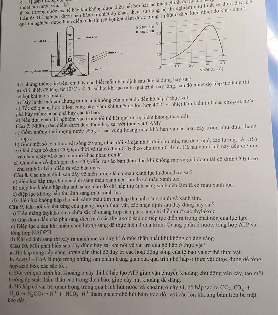 c. 1] gặp trường  hệ 
thoát hơi nước yếu.
d. Sự trương nước của tế bảo khí khổng được điều tiết bởi hai tác nhân chính đó là al
Câu 6: Thí nghiệm được tiến hành ở nhiệt độ khác nhau, sử dụng bộ thí nghiệm như hình vẽ dưới đây, kết
quả thí nghiệm được biểu diễn ở đồ thị (số bọt khí đếm được trong 1 phút ở điều kiện nhiệt độ khác nhau).
80
Số bọt khí
trong phūt 60
40
20
0 10 20 30 40
Nhiệt độ (℃)
Từ những thông tin trên, em hãy cho biết mỗi nhận định sau đây là đúng hay sai?
a) Khi nhiệt độ tăng từ 10°C-32°C số bọt khí tạo ra từ quá trình này tăng, sau đó nhiệt độ tiếp tục tăng thì
số bọt khí tạo ra giảm.
b) Đây là thí nghiệm chứng minh ảnh hưởng của nhiệt độ đến hô hấp ở thực vật.
c) Tốc độ quang hợp ở loại rong này giảm khi nhiệt độ lớn hơn 40°C vì nhiệt làm biến tính các enzyme hoặc
phá hủy màng hoặc phá hủy các tế bào.
d) Nếu đưa chậu thí nghiệm vào trong tối thì kết quả thí nghiệm không thay đổi.
Câu 7: Những đặc điểm dưới đây đúng hay sai với thực vật CAM?
a) Gồm những loài mọng nước sống ở các vùng hoang mạc khô hạn và các loại cây trồng như dứa, thanh
long…
b) Gổm một số loài thực vật sống ở vùng nhiệt đới và cận nhiệt đới như mía, rau dền, ngô, cao lương, kê...(S)
c) Giai đoạn cố định CO_2 tạm thời và tái cố định CO_2 theo chu trình Calvin. Cả hai chu trình này đều diễn ra
vào ban ngày và ở hai loại mô khác nhau trên lá.
d) Giai đoạn cổ định tạm thời CO_2 diễn ra vào ban đêm, lúc khí khồng mở và giai đoạn tái cố định CO_2 theo
chu trình Calvin, diễn ra vào ban ngày.
Câu 8. Các nhận định sau đây về hiện tượng lá có màu xanh lục là đúng hay sai?
a) diệp lục hấp thụ chủ yếu ánh sáng màu xanh nên làm lá có màu xanh lục.
b) diệp lục không hấp thụ ánh sáng màu đỏ chi hấp thụ ánh sáng xanh nên làm lá có màu xanh lục.
c) diệp lục không hấp thụ ánh sáng màu xanh lục
d). diệp lục không hấp thụ ánh sáng màu tím mà hấp thụ ánh sáng xanh và xanh tím.
Câu 9. Khi nói về pha sáng của quang hợp ở thực vật, các nhận định sau đây đúng hay sai?
a) Trên màng thylakoid có chứa sắc tố quang hợp nên pha sáng chi diễn ra ở các thylakoid
b) Giai đoạn đầu của pha sáng diễn ra ở các thylakoid sau đó tiếp tục diễn ra trong chất nền của lục lạp.
c) Diệp lục a sau khi nhận năng lượng sáng đã thực hiện 3 quá trình: Quang phân li nước, tổng hợp ATP và
tổng hợp NADPH.
d) Khi có ánh sáng thì xảy ra mạnh mẽ và duy trì ở mức thấp nhất khi không có ánh sáng.
Câu 10. Mỗi phát biểu sau đây đúng hay sai khi nói về vai trò của hô hấp ở thực vật?
a. Hồ hấp cung cấp năng lượng cần thiết để duy trì các hoạt động sống của tế bào và cơ thể thực vật.
b. Acetyl - CoA là một trong những sản phẩm trung gian của quá trình hô hấp ở thực vật được dùng để tổng
hợp acid béo, các sắc tố...
c. Đối với quá trình hút khoáng ở cây thì hô hấp tạo ATP giúp vận chuyền khoáng chủ động vào cây, tạo môi
trường áp suất thầm thấu cao trong dịch bào, giúp cây hút khoáng dễ dàng.
d. Hô hấp có vai trò quan trọng trong quá trình hút nước và khoáng ở cây vì, hô hấp tạo ra CO_2,CO_2+
H_2Oto H_2CO_3to H^++HCO_3^(-,H^+) tham gia cơ chế hút bám trao đổi với các ion khoáng bám trên bề mặt
keo đất.