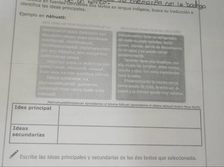 identifica las ideas principales. 
La en fuentes confiables dos textos en lengua indígena, busca su traducción el 
Ejemplo en náhuatl: 
II OME NEYEHTECOLIZPOALITI Segunda Practica de leçtura 
Metztonalızin quipia iflaîtzilaioni ipan 
ilacualchihualoyan ompa quicalaquia 
miectlacualli, chichihualayot. 
chichihualayotepitzli, chichihualayotetic 
yuh amo ihtiacahui, amo xocoya ihua 
cualli mocuaz zatep 
Noyunqui quipia ce teciloni ica inon 
quiteci tomati, chilxoxoctli, xonacat! 
ihuan axox ica inon quichihua chilmolli. 
Zatepa quinenelos, ica, 
ploxnacatlehuatzalli, quliztahula. 
quihuecxiti ihuan cenca huelic quiza 
intlacualli. 
Matinahuatlahtolzalocan Aprendamos el Idioma Náhuatl Aprendamos el idioma Náhuatl Isidoro Meza Patiño 
Idea principal 
Ideas 
secundarias 
Escribe las ideas principales y secundarias de los dos textos que seleccionaste.