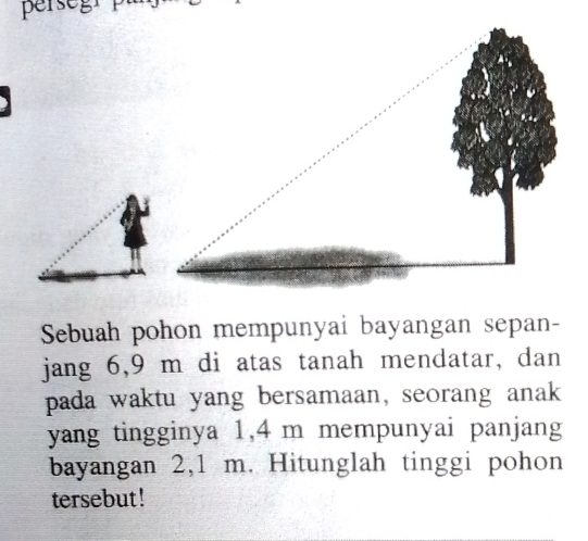 Sebuah pohon mempunyai bayangan sepan- 
jang 6,9 m di atas tanah mendatar, dan 
pada waktu yang bersamaan, seorang anak 
yang tingginya 1,4 m mempunyai panjang 
bayangan 2,1 m. Hitunglah tinggi pohon 
tersebut!