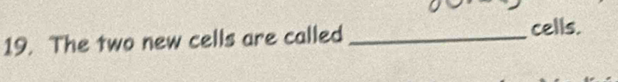 The two new cells are called _cells.