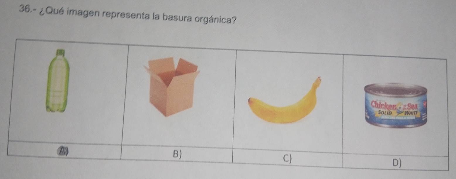 36.- ¿Qué imagen representa la basura orgánica?
Chicken Sea
Solid * Whits
B)
C)
D)