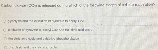 Carbon dioxide (CO_2) is released during which of the following stages of cellular respiration?
glycolysis and the oxidation of pyruvate to acetyl CoA
oxidation of pyruvate to acetyl CoA and the citric acid cycle
the citric acid cycle and oxidative phosphorylation
glycolysis and the citric acid cycle