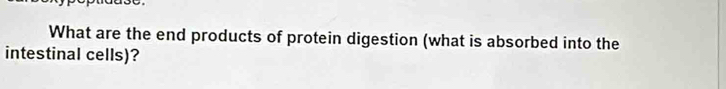 What are the end products of protein digestion (what is absorbed into the 
intestinal cells)?