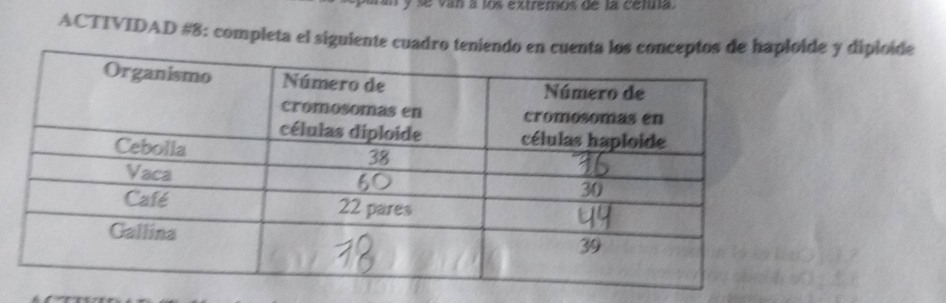 se van a los extremos de la cetula. 
ACTTVIDAD #8: completa el sigide y diploide