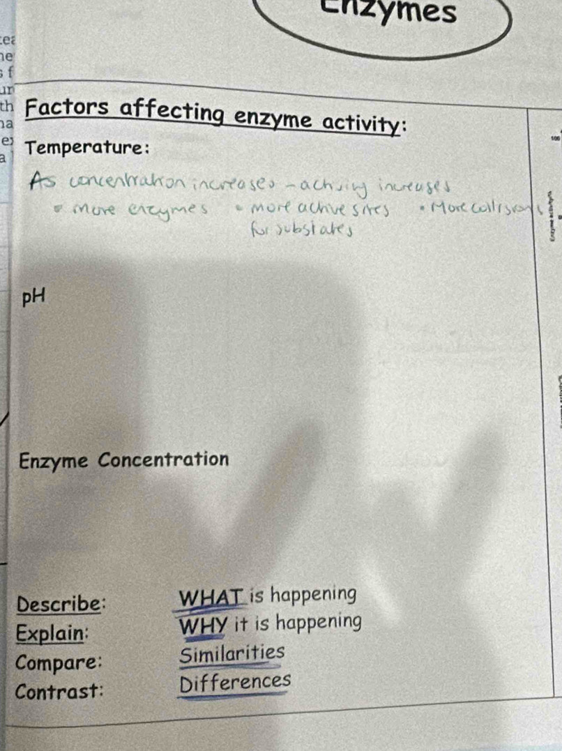 Enzymes 
Lea 
e 
f 
ur 
th Factors affecting enzyme activity: 
a 
e) Temperature: 
pH 
Enzyme Concentration 
Describe: WHAT is happening 
Explain: WHY it is happening 
Compare: Similarities 
Contrast: Differences