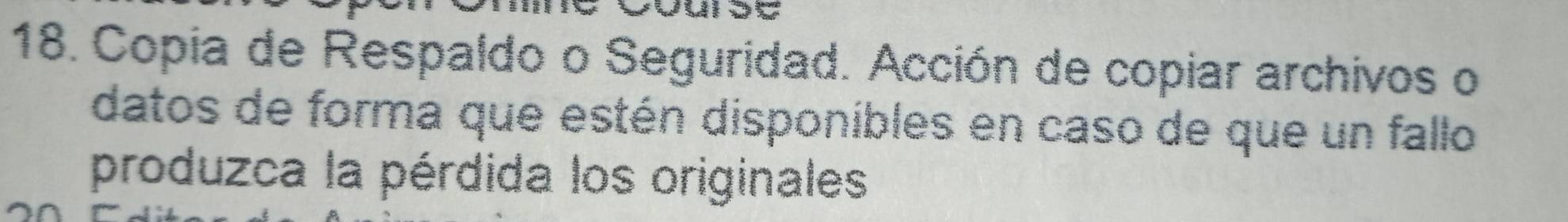 Copia de Respaldo o Seguridad. Acción de copiar archivos o 
datos de forma que estén disponibles en caso de que un fallo 
produzca la pérdida los originales