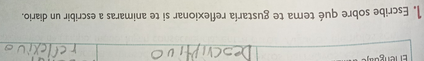 Escribe sobre qué tema te gustaría reflexionar si te animaras a escribir un diario.