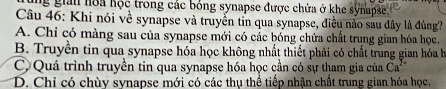 ng giản hoa học trong các bóng synapse được chứa ở khe synapse.
Câu 46: Khi nói về synapse và truyền tin qua synapse, điều nào sau đây là đúng?
A. Chỉ có màng sau của synapse mới có các bóng chứa chất trung gian hóa học.
B. Truyền tin qua synapse hóa học không nhất thiết phải có chất trung gian hóa họ
C. Quá trình truyền tin qua synapse hóa học cần có sự tham gia của Ca^(2+)
D. Chỉ có chùy synapse mới có các thụ thể tiếp nhận chất trung gian hóa học.