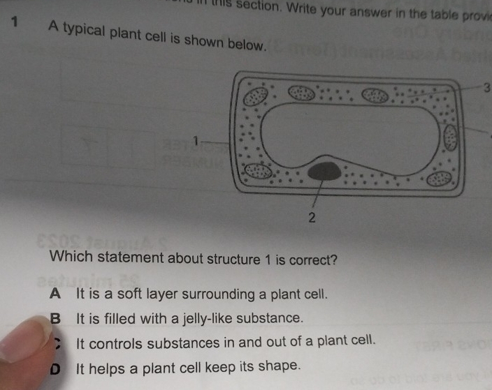 this section. Write your answer in the table provi
1 A typical plant cell is shown below.
3
Which statement about structure 1 is correct?
A It is a soft layer surrounding a plant cell.
B It is filled with a jelly-like substance.
It controls substances in and out of a plant cell.
D It helps a plant cell keep its shape.