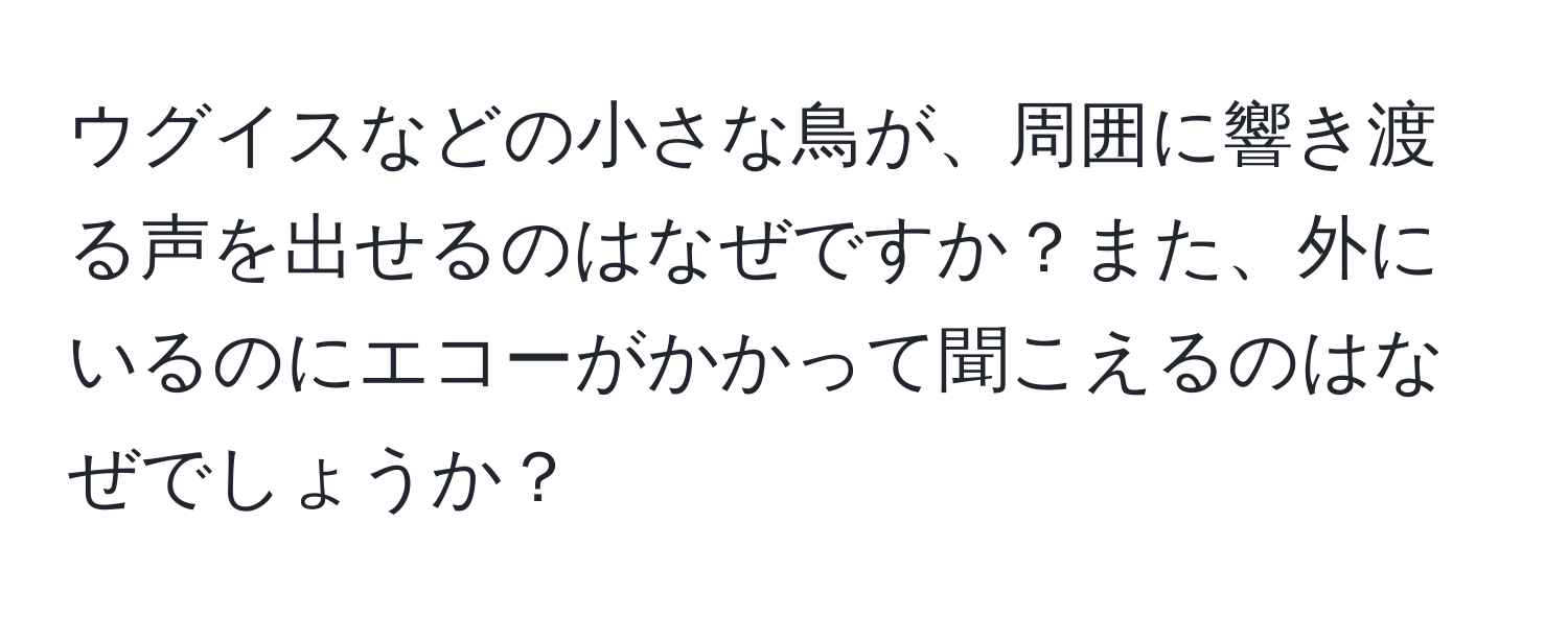 ウグイスなどの小さな鳥が、周囲に響き渡る声を出せるのはなぜですか？また、外にいるのにエコーがかかって聞こえるのはなぜでしょうか？