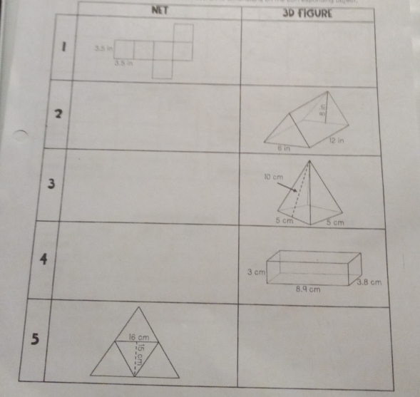 NET 3D FIGURE