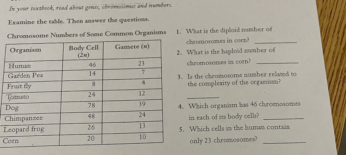 In your textbook, read about genes, chromosomes and numbers. 
Examine the table. Then answer the questions. 
Chromosome Numbers of Some Common Organisms 1. What is the diploid number of 
chromosomes in corn?_ 
What is the haploid number of 
chromosomes in corn?_ 
Is the chromosome number related to 
the complexity of the organism? 
_ 
Which organism has 46 chromosomes 
in each of its body cells?_ 
L Which cells in the human contain 
Conly 23 chromosomes?_