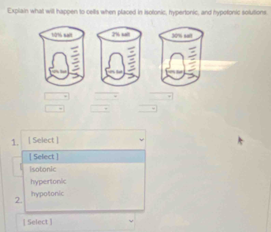 Explain what will happen to cells when placed in isotonic, hypertonic, and hypotonic solutions.
30% saft
1. [Select ]
[ Select ]
isotonic
hypertonic
hypotonic
2.
[ Select ]