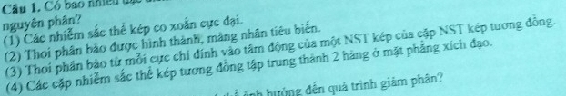 Có bao nhiều t ự
nguyên phân?
(1) Các nhiễm sắc thể kép co xoắn cực đại.
(2) Thoi phân bảo được hình thành, màng nhân tiêu biến.
(3) Thoi phần bào từ mỗi cực chi đính vào tâm động của một NST kép của cặp NST kép tương đồng.
(4) Các cặp nhiễm sắc thể kép tương đồng tập trung thành 2 hàng ở mặt phẳng xích đạo.
Ảnh hưởng đến quá trình giám phân?