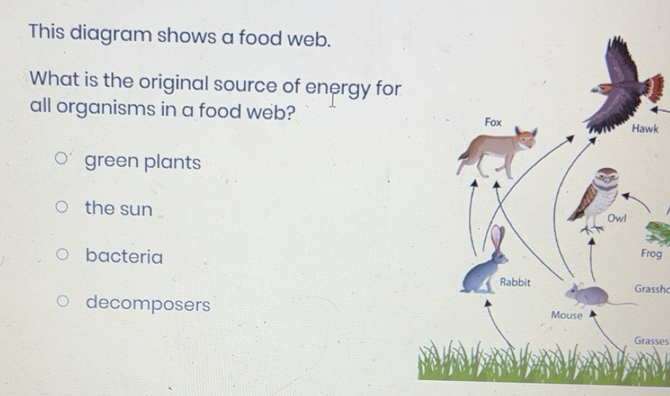 Solved: This diagram shows a food web. What is the original source of ...