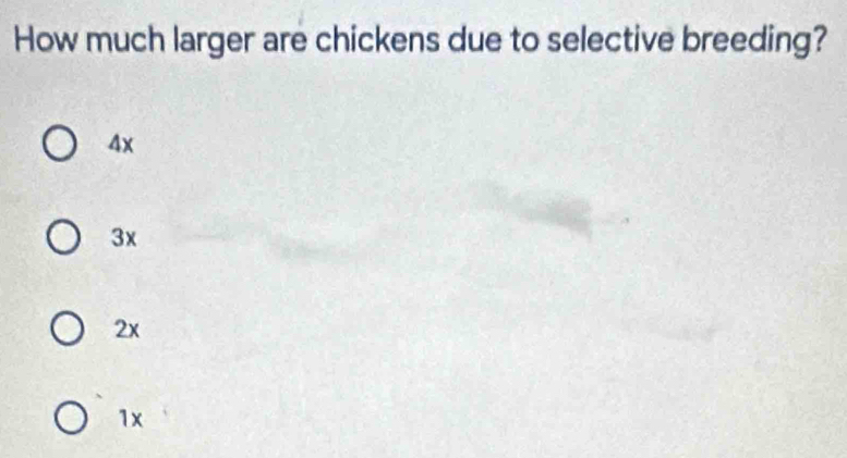 How much larger are chickens due to selective breeding?
4x
3x
2x
1x