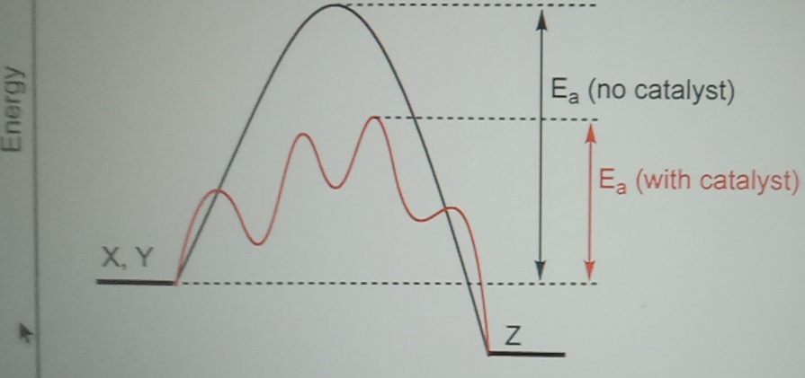 5
(with catalyst)