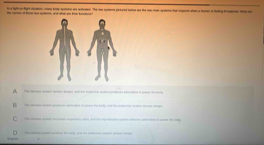 Resuelto:to a fight-or-flight siluation, many body systems are ...