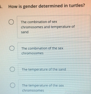 How is gender determined in turtles?
The combination of sex
chromosomes and temperature of
sand
The combination of the sex
chromosomes
The temperature of the sand
The temperature of the sex
chromosomes