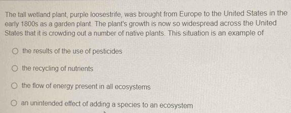 The tall wetland plant, purple loosestrife, was brought from Europe to the United States in the
early 1800s as a garden plant. The plant's growth is now so widespread across the United
States that it is crowding out a number of native plants. This situation is an example of
the results of the use of pesticides
the recycling of nutrients
the flow of energy present in all ecosystems
an unintended effect of adding a species to an ecosystem