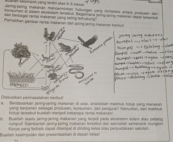 Buatlah kelompok yang terdiri atas 3-5 siswa! 
Jaring-jaring makanan mencerminkan hubungan yang kompleks antara produsen dan 
konsumen di dalam ekosistem tersebut. Bagaimana jaring-jaring makanan dapat terbentuk 
dari berbagai rantai makanan yang saling terhubung? 
Perhatikan gambar rantai makanan dan jaring-jaring 
Diskusikan permasalahan berikut! 
a. Berdasarkan jaring-jaring makanan di atas, analisislah makhluk hidup yang manakah 
yang berperan sebagai produsen, konsumen, dan pengurai? Kemudian, dari makhluk 
hidup tersebut buatlah menjadi beberapa rantai makanan! 
b. Buatlah suatu jaring-jaring makanan yang terjadi pada ekosistem kolam atau padang 
rumput! Gambarlah jaring-jaring makanan tersebut dan warnailah semenarik mungkin! 
Karya yang terbaik dapat ditempel di dinding kelas atau perpustakaan sekolah. 
Buatlah kesimpulan dan presentasikan di depan kelas!