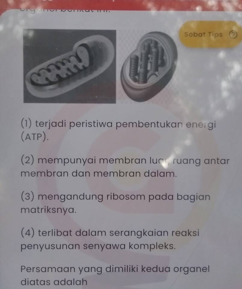 Sobat Tips ⑦
(1) terjadi peristiwa pembentukan energi
(ATP).
(2) mempunyai membran luan ruang antar
membran dan membran dalam.
(3) mengandung ribosom pada bagian
matriksnya.
(4) terlibat dalam serangkaian reaksi
penyusunan senyawa kompleks.
Persamaan yang dimiliki kedua organel
diatas adalah