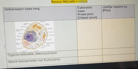 Resous: Not selil + videyo