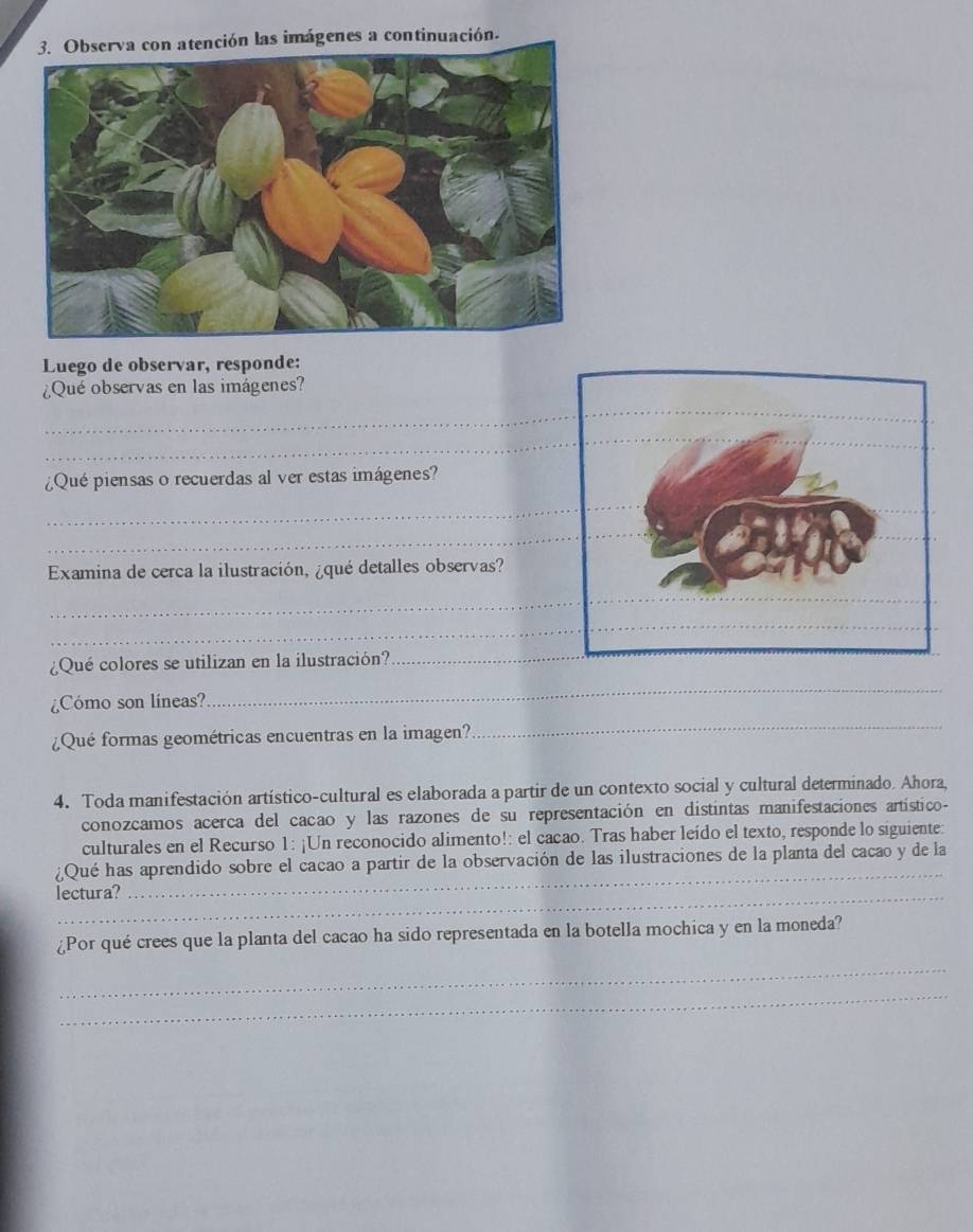 Observa con atención las imágenes a continuación. 
Luego de observar, responde: 
¿Qué observas en las imágenes? 
_ 
_ 
¿Qué piensas o recuerdas al ver estas imágenes? 
_ 
_ 
Examina de cerca la ilustración, ¿qué detalles observas? 
_ 
__ 
¿Qué colores se utilizan en la ilustración? 
_ 
_ 
¿Cómo son líneas? 
_ 
¿Qué formas geométricas encuentras en la imagen? 
4. Toda manifestación artístico-cultural es elaborada a partir de un contexto social y cultural determinado. Ahora 
conozcamos acerca del cacao y las razones de su representación en distintas manifestaciones artístico- 
culturales en el Recurso 1: ¡Un reconocido alimento!: el cacao. Tras haber leído el texto, responde lo siguiente: 
¿Qué has aprendido sobre el cacao a partir de la observación de las ilustraciones de la planta del cacao y de la 
lectura? 
_ 
¿Por qué crees que la planta del cacao ha sido representada en la botella mochica y en la moneda? 
_ 
_