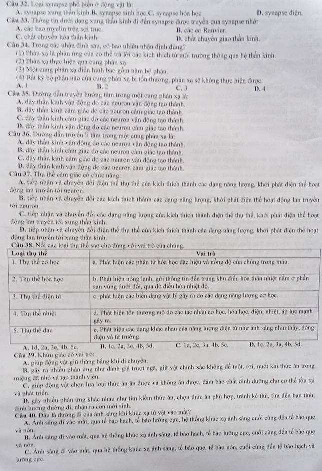 Loại synapse phổ biển ở động vật là:
A. synapse xung thần kinh.B. synapse sinh học C. synapse hóa học D. synapse điện.
Câu 33. Thông tin dưới dạng xung thần kinh đi đến synapse được truyền qua synapse nhờ:
A. các bao myelin trên sợi trục. B các eo Ranvier
C. chất chuyển hóa thần kinh. D. chất chuyển giao thần kinh.
Câu 34. Trong các nhận định sau, có bao nhiêu nhận định đúng?
(1) Phân xạ là phản ứng của cơ thể trà lời các kích thích từ môi trường thông qua hệ thần kinh.
(2) Phân xạ thực hiện qua cung phản xạ
(3) Một cung phân xạ điễn hình bao gồm năm bộ phận.
(4) Bắt kỳ bộ phận nào của cung phản xạ bị tồn thương, phản xạ sẽ không thực hiện được.
A. 1 B. 2 C. 3
D. 4
Câu 35. Đường dẫn truyền hướng tâm trong một cung phản xạ là:
A. dây thần kinh vận động do các neuron vận động tạo thành.
B. dây thần kinh cảm giác do các neuron cảm giác tạo thành.
C. dây thần kinh cảm giác do các neuron vận động tạo thành.
D. đây thần kinh vận động do các neuron cảm giác tạo thành.
Câu 36. Đường dẫn truyền lì tâm trong một cung phản xạ là:
A. dây thần kinh vận động do các neuron vận động tạo thành.
B dây thần kinh cảm giác do các neuron cảm giác tạo thành.
C. dây thần kinh cảm giác do các neuron vận động tạo thành.
D. dây thần kinh vận động do các neuron cảm giác tạo thành.
Câu 37. Thụ thể cảm giác có chức năng:
A. tiếp nhận và chuyển đổi điện thể thụ thể của kích thích thành các đạng năng lượng, khởi phát điện thể hoạt
động lan truyền tới neuron
B. tiếp nhận và chuyển đổi các kích thích thành các dạng năng lượng, khởi phát điện thể hoạt động lan truyền
tới neuron.
C. tiếp nhận và chuyển đổi các dạng năng lượng của kích thích thành điện thể thụ thể, khởi phát điện thể hoạt
động lan truyền tới xung thần kinh.
D. tiếp nhận và chuyển đổi điện thể thụ thể của kích thích thành các đạng năng lượng, khới phát điện thể hoạt
động lan truyền tới xung thần kinh.
Câu 39. Khứu giác có vai trò:
A. giúp động vật giữ thăng bằng khi di chuyển.
B. gây ra nhiều phản ứng như đánh giá trượt ngã, giữ vật chính xác không để tuột, rơi, nuổt khi thức ăn trong
miệng đã nhỏ và tạo thành viên.
C. giúp động vật chọn lựa loại thức ăn ăn được và không ăn được, đảm bảo chất dinh dưỡng cho cơ thể tồn tại
và phát triển.
D. gây nhiều phản ứng khác nhau như tìm kiểm thức ăn, chọn thức ăn phù hợp, tránh kẻ thù, tìm đến bạn tình,
định hướng đường đi, nhận ra con mới sinh.
Câu 40. Đầu là đường đi của ánh sáng khí khúc xạ từ vật vào mắt?
A. Ánh sáng đi vào mắt, qua tế bào hạch, tế bào lưỡng cực, hệ thống khúc xạ ánh sáng cuối cùng đến tế bào que
và nón
B. Ánh sáng đi vào mắt, qua hệ thống khúc xạ ánh sáng, tế bào hạch, tế bào lưỡng cực, cuối cùng đến tế bào que
và nón
C. Ánh sáng đi vào mắt, qua hệ thống khúc xạ ánh sáng, tế bảo que, tế bào nón, cuối cùng đến tế bào hạch và
lưỡng cực