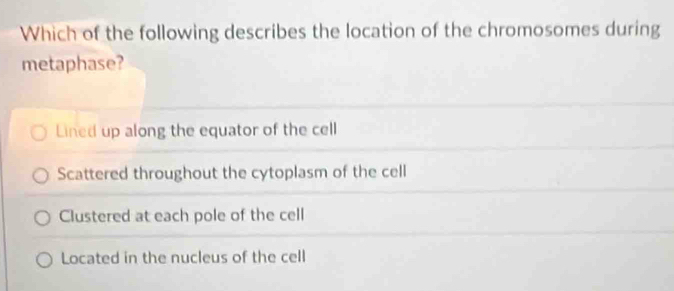 Which of the following describes the location of the chromosomes during
metaphase?
Lined up along the equator of the cell
Scattered throughout the cytoplasm of the cell
Clustered at each pole of the cell
Located in the nucleus of the cell