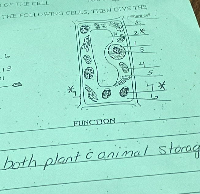 OF THE CELL 
THE FOLLOWING CELLS, THEN GIVE THE 
_ 
FUNCTION