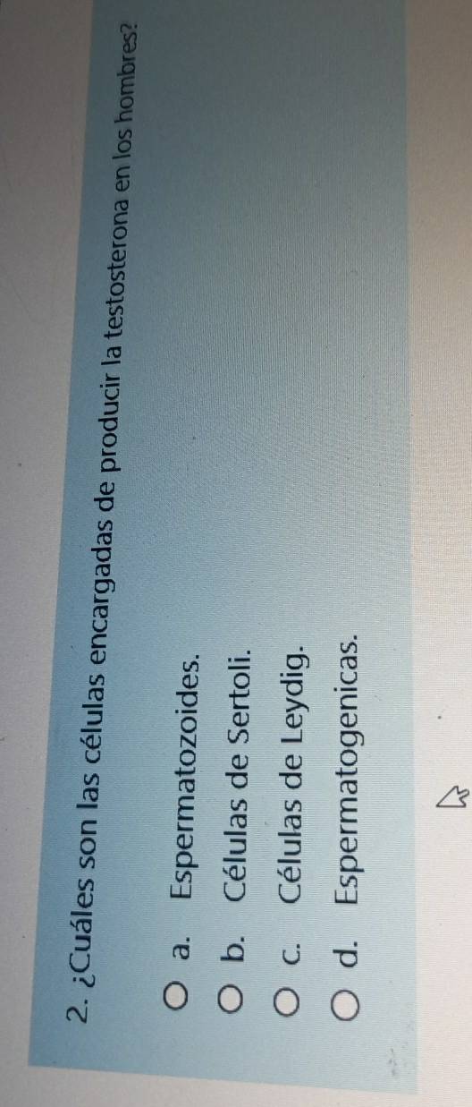 ¿Cuáles son las células encargadas de producir la testosterona en los hombres?
a. Espermatozoides.
b. Células de Sertoli.
c. Células de Leydig.
d. Espermatogenicas.