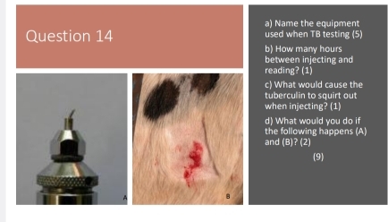 Name the equipment 
Question 14 used when TB testing (5) 
b) How many hours
between injecting and 
reading? (1) 
c) What would cause the 
tuberculin to squirt out 
when injecting? (1) 
d) What would you do if 
the following happens (A) 
and (B)? (2) 
(9)