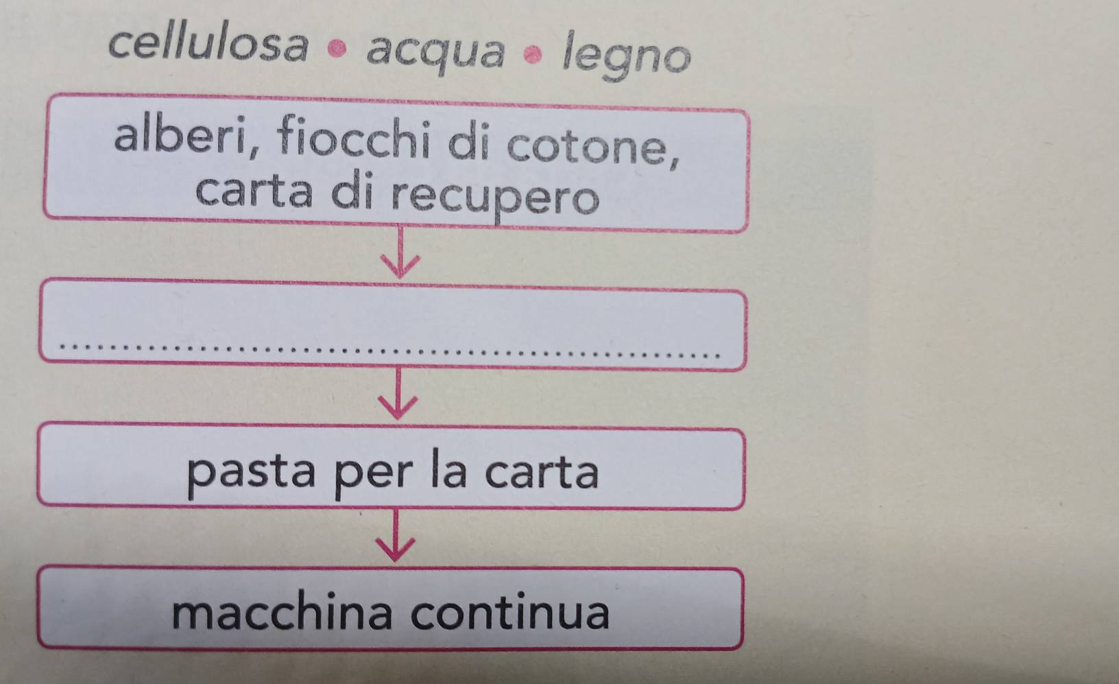 cellulosa • acqua • legno 
alberi, fiocchi di cotone, 
carta di recupero 
pasta per la carta 
macchina continua