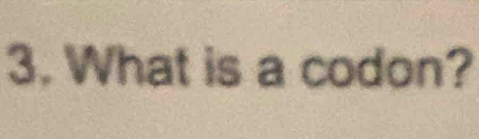 What is a codon?