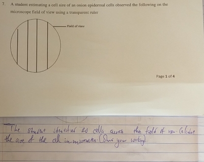 A student estimating a cell size of an onion epidermal cells observed the following on the 
microscope field of view using a transparent ruler 
Page 1 of 4