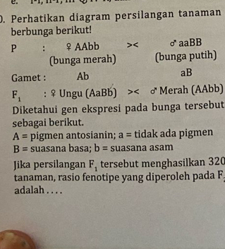 Perhatikan diagram persilangan tanaman 
berbunga berikut! 
P : ♀AAbb < <tex>d° aaBB 
(bunga merah) (bunga putih) 
Gamet : Ab aB
F_1 : ♀ Ungu (AaBb) >< <tex>d° Merah (AAbb) 
Diketahui gen ekspresi pada bunga tersebut 
sebagai berikut.
A= pigmen antosianin; a= tidak ada pigmen
B= suasana basa; b= suasana asam 
Jika persilangan F_1 tersebut menghasilkan 320
tanaman, rasio fenotipe yang diperoleh pada F
adalah . . . .