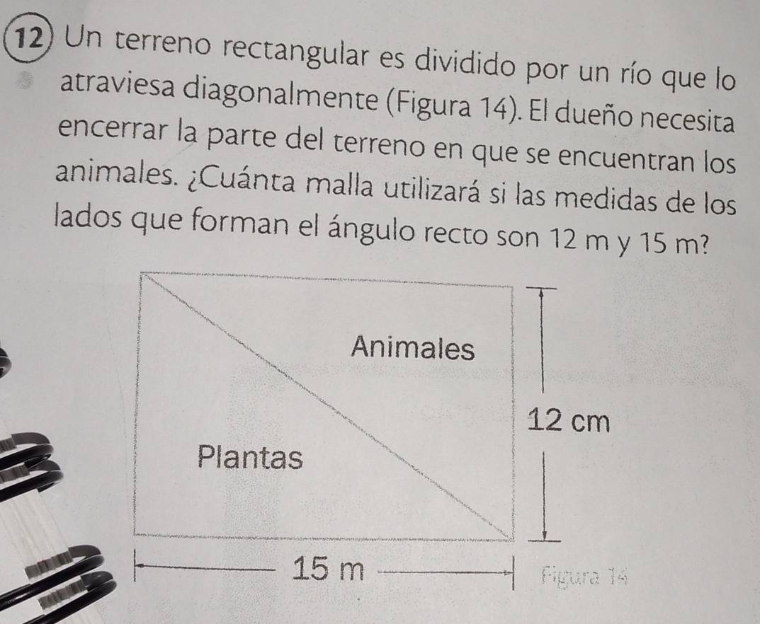 Un terreno rectangular es dividido por un río que lo 
atraviesa diagonalmente (Figura 14). El dueño necesita 
encerrar la parte del terreno en que se encuentran los 
animales. ¿Cuánta malla utilizará si las medidas de los 
lados que forman el ángulo recto son 12 m y 15 m?